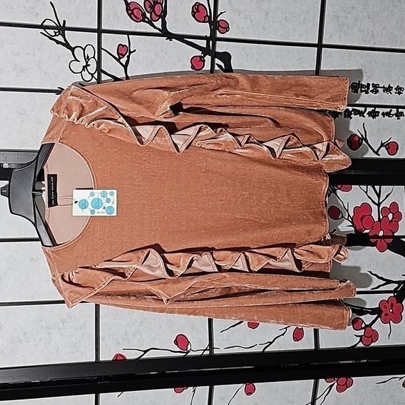 Ruffle Trim‎ Velvet Blouse Shirt Top Size Small NWT - Picture 1 of 6